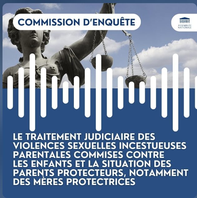 Capture d'écran d'une audition de la commission